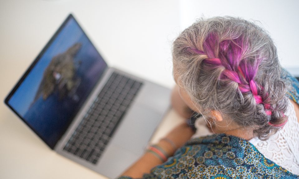A woman with gray and pink braided hair working on a laptop